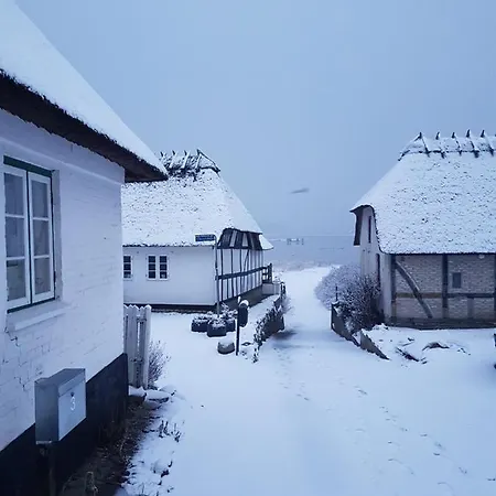 Hébergement de vacances Tinyhouse Thorohuse